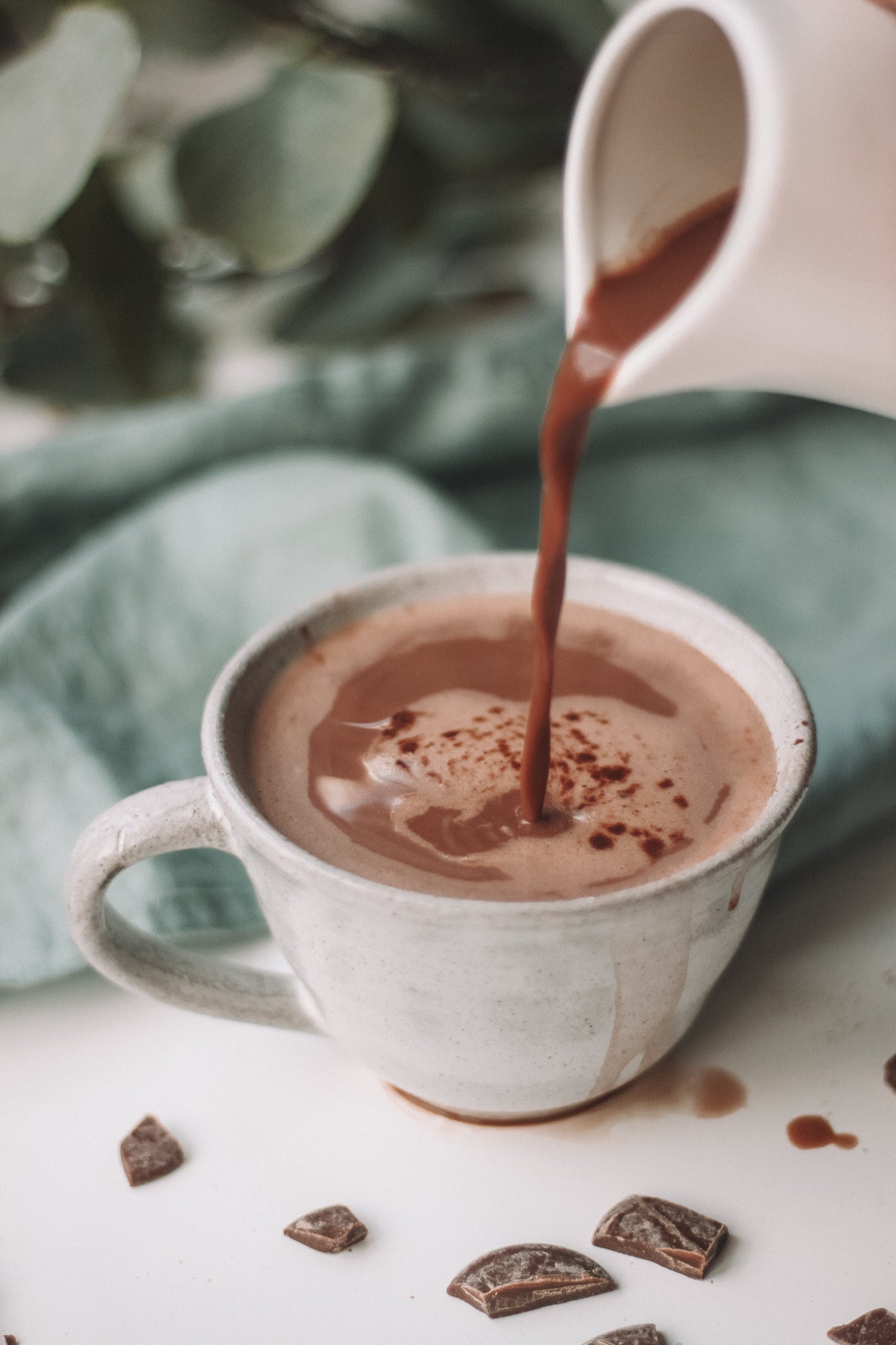 Healthy Hot Chocolate