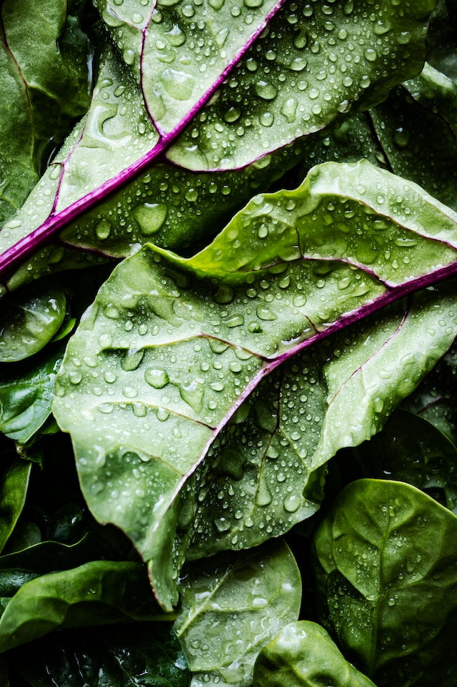 Ensalada Relajante para un Sueño Reparador