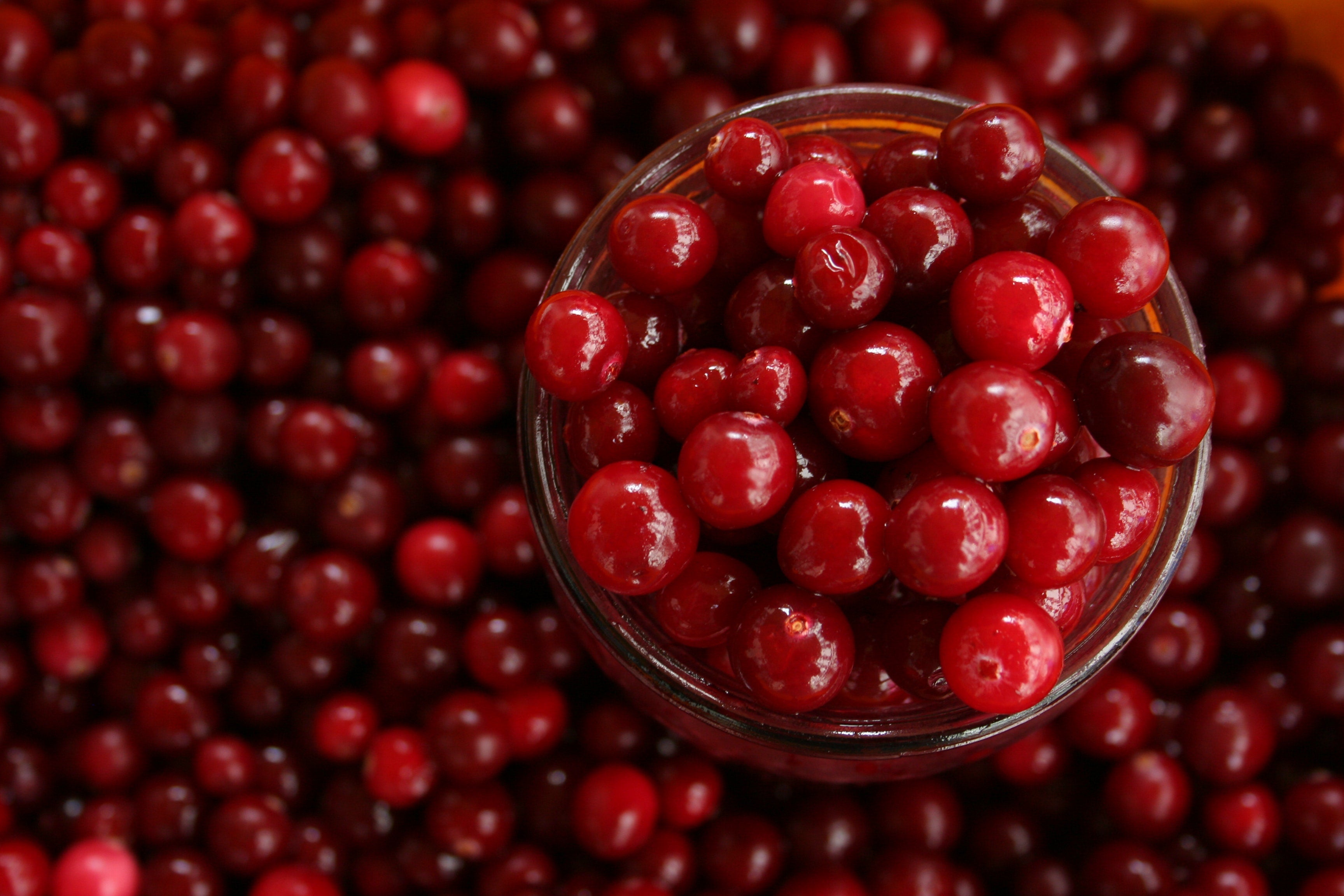Cranberry Paleo-Bread