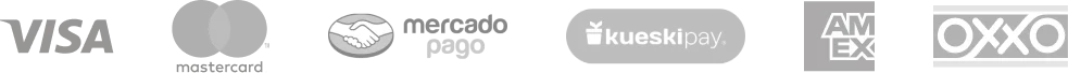 asset-payments
